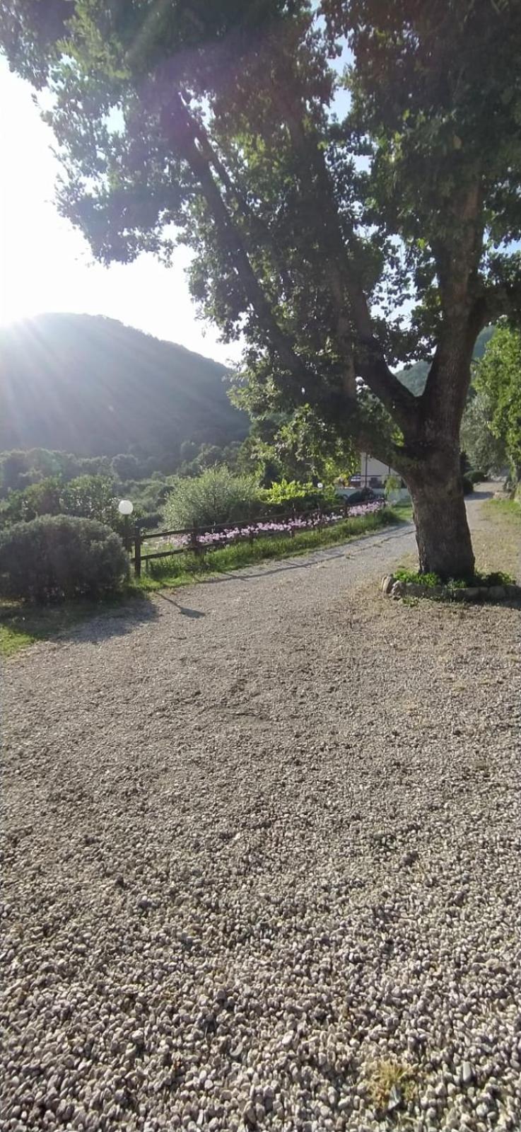 Azienda Agricola Biologica La Cardellina Tolfa Eksteriør bilde